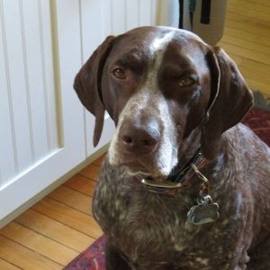 Meet your Posher, Mike